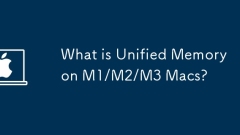 M1/M2/M3 MAC? ?? ??? ? ??????