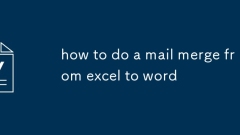 Wie man eine Post macht, verschmilzt von Excel zum Wort