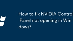 Windows?? NVIDIA ???? ???? ??? ??????