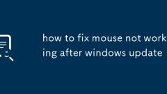 So reparieren Sie Maus, die nach Windows Update nicht funktioniert