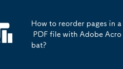 Wie kann ich Seiten in einer PDF -Datei mit Adobe Acrobat neu ordnen?