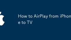 iPhone?? TV? ???? ??