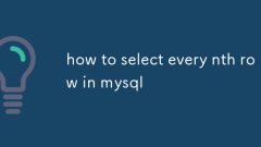 MySQL에서 모든 nth 행을 선택하는 방법