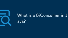 Was ist ein Biconsumer in Java?