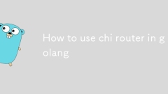 So verwenden Sie Chi -Router in Golang