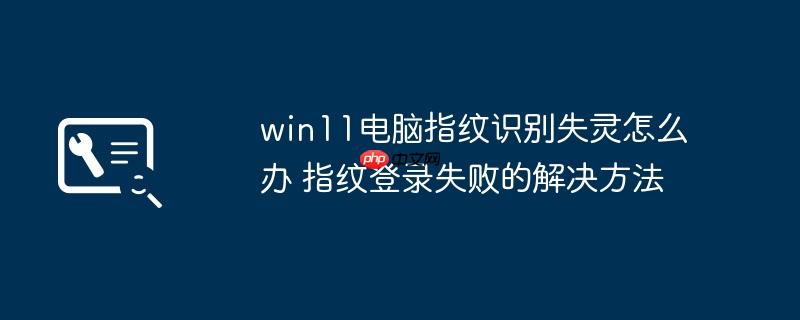 win11电脑指纹识别失灵怎么办 指纹登录失败的解决方法