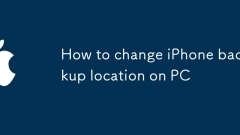 PC?? iPhone ?? ??? ???? ??