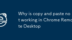 為什么復(fù)制和粘貼在Chrome Remote Desktop中不工作
