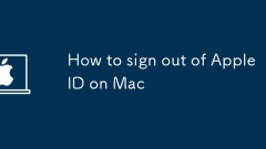 So melden Sie sich von Apple ID auf Mac ab