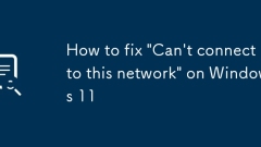 So beheben Sie 'kann nicht mit diesem Netzwerk herstellen' unter Windows 11