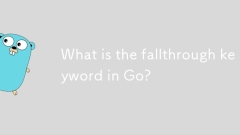 Was ist das Falle -Keyword in Go?