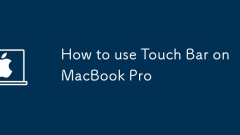 So verwenden Sie Touch Bar auf MacBook Pro