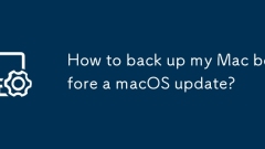 Wie unterstütze ich meinen Mac vor einem MacOS -Update?