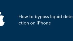 iPhone?? ?? ??? ???? ??