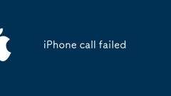 iPhone ??? ??????