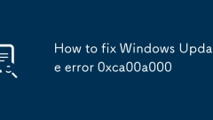 So beheben Sie Windows -Update -Fehler 0xCA00A000