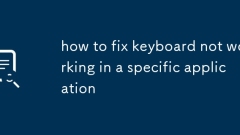 So reparieren Sie die Tastatur, die in einer bestimmten Anwendung nicht funktioniert