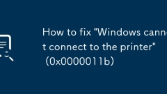 So beheben 'Windows kann nicht mit dem Drucker herstellen' (0x0000011b)
