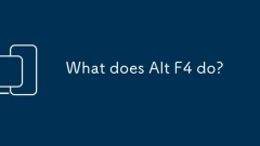 Was macht Alt F4?