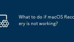Was tun, wenn die MacOS -Wiederherstellung nicht funktioniert?
