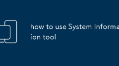 how to use System Information tool