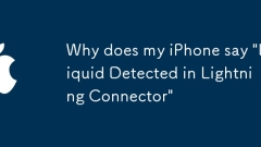 ? iPhone? 'Lightning Connector?? ??? ?? ? ??'?? ??? ??
