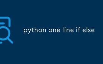 Python eine Zeile wenn noch