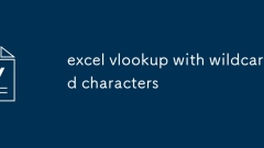 excel vlookup with wildcard characters