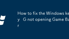 So reparieren Sie die Windows -Key G, die die Spielleiste nicht ?ffnet