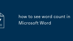 how to see word count in Microsoft Word