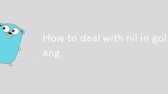 Wie man mit Nil in Golang umgeht