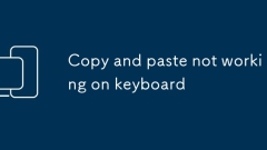 Copy and paste not working on keyboard