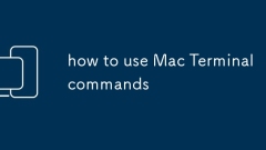 how to use Mac Terminal commands