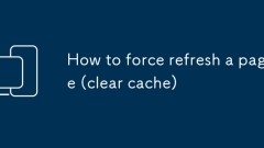 How to force refresh a page (clear cache)