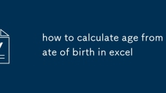 how to calculate age from date of birth in excel