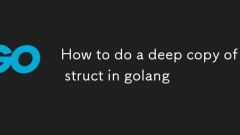 Wie man eine tiefe Kopie einer Struktur in Golang macht