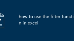 how to use the filter function in excel