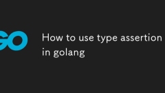 如何在Golang中使用類型斷言