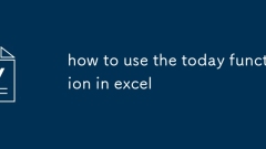 how to use the today function in excel