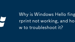Why is Windows Hello fingerprint not working, and how to troubleshoot it?
