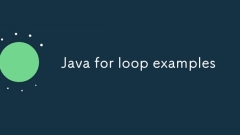Java for loop examples