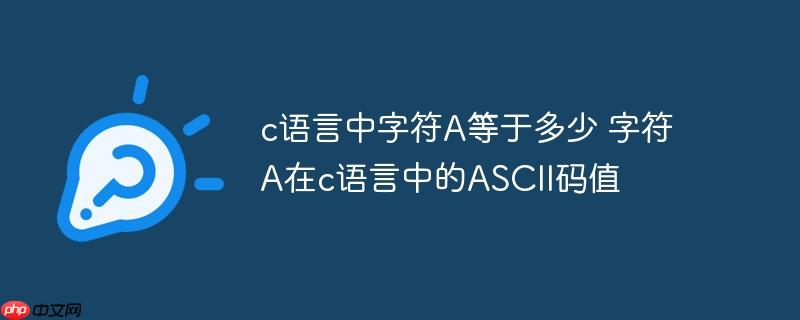 c语言中字符A等于多少 字符A在c语言中的ASCII码值