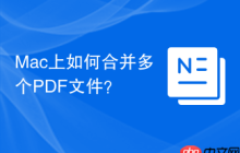 Mac上如何合并多个PDF文件？