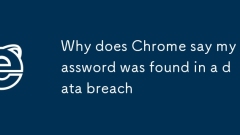 Warum sagt Chrome, mein Passwort sei in einer Datenverletzung gefunden worden