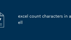 Excel Count -Charaktere in einer Zelle