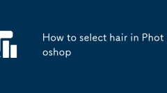 How to select hair in Photoshop
