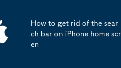 Cara Menghilangkan Bar Carian di Skrin Utama iPhone