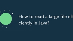 如何在Java中有效閱讀大型文件?