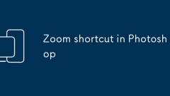 Zoom raccourci dans Photoshop