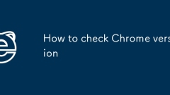 Comment vérifier la version chrome
